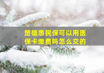 楚雄惠民保可以用医保卡缴费吗怎么交的