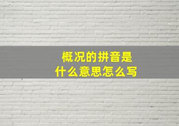 概况的拼音是什么意思怎么写