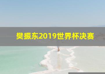 樊振东2019世界杯决赛