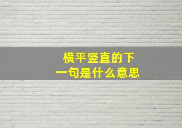 横平竖直的下一句是什么意思