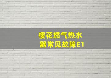 樱花燃气热水器常见故障E1