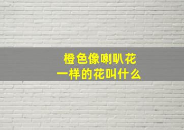 橙色像喇叭花一样的花叫什么