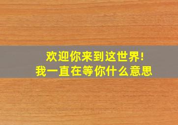 欢迎你来到这世界!我一直在等你什么意思