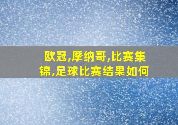 欧冠,摩纳哥,比赛集锦,足球比赛结果如何