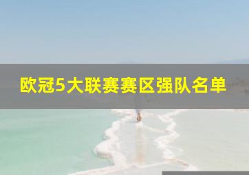 欧冠5大联赛赛区强队名单