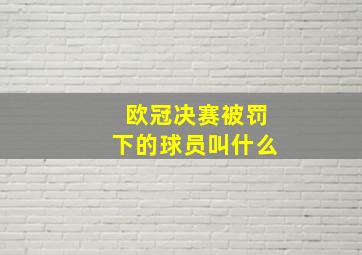 欧冠决赛被罚下的球员叫什么