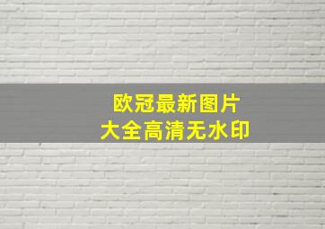 欧冠最新图片大全高清无水印