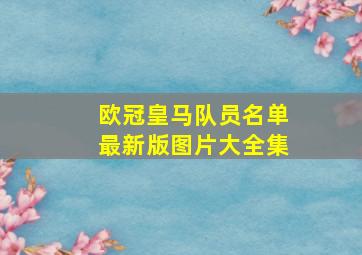 欧冠皇马队员名单最新版图片大全集