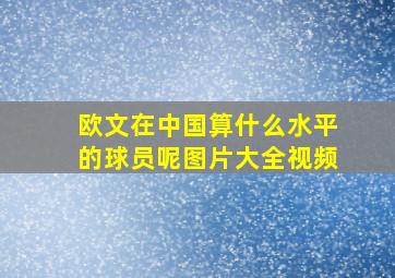 欧文在中国算什么水平的球员呢图片大全视频