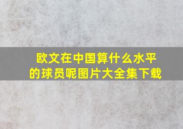 欧文在中国算什么水平的球员呢图片大全集下载