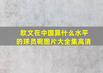 欧文在中国算什么水平的球员呢图片大全集高清