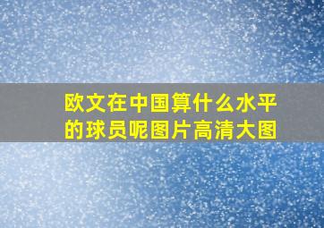 欧文在中国算什么水平的球员呢图片高清大图