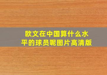 欧文在中国算什么水平的球员呢图片高清版