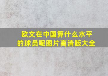 欧文在中国算什么水平的球员呢图片高清版大全