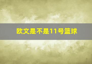 欧文是不是11号篮球