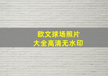 欧文球场照片大全高清无水印