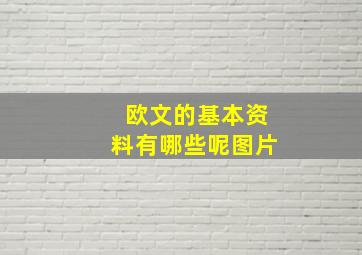 欧文的基本资料有哪些呢图片