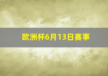 欧洲杯6月13日赛事