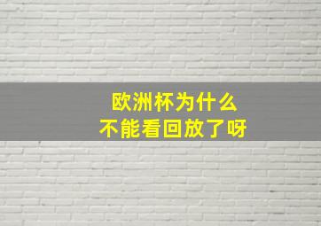 欧洲杯为什么不能看回放了呀