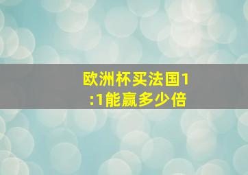 欧洲杯买法国1:1能赢多少倍