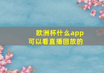 欧洲杯什么app可以看直播回放的