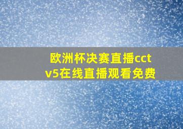 欧洲杯决赛直播cctv5在线直播观看免费