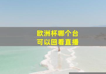 欧洲杯哪个台可以回看直播