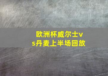 欧洲杯威尔士vs丹麦上半场回放