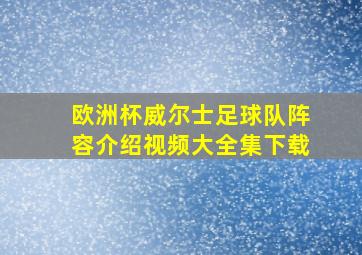 欧洲杯威尔士足球队阵容介绍视频大全集下载