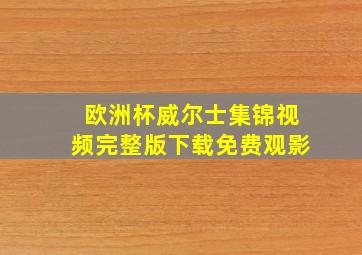 欧洲杯威尔士集锦视频完整版下载免费观影