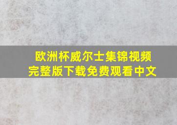 欧洲杯威尔士集锦视频完整版下载免费观看中文