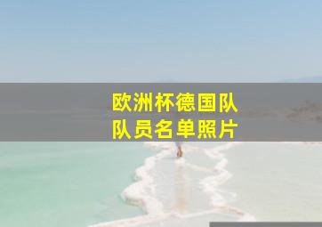 欧洲杯德国队队员名单照片