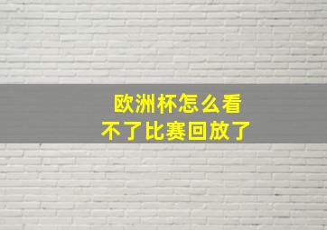 欧洲杯怎么看不了比赛回放了