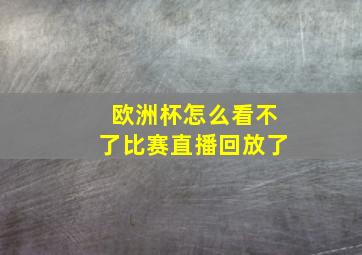 欧洲杯怎么看不了比赛直播回放了