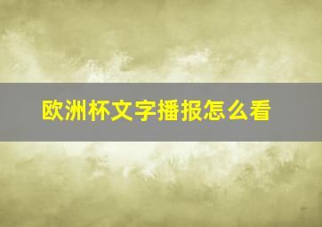 欧洲杯文字播报怎么看