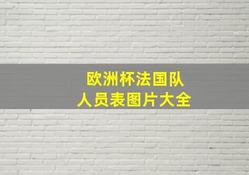 欧洲杯法国队人员表图片大全