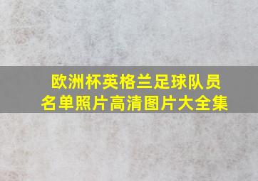 欧洲杯英格兰足球队员名单照片高清图片大全集