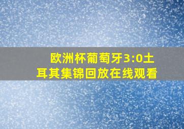 欧洲杯葡萄牙3:0土耳其集锦回放在线观看