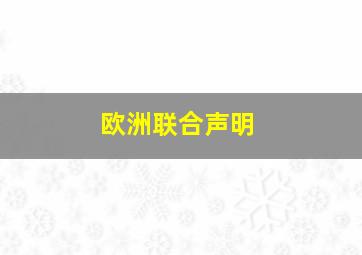 欧洲联合声明