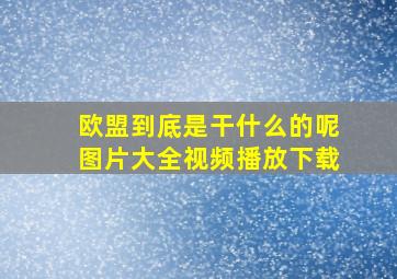 欧盟到底是干什么的呢图片大全视频播放下载