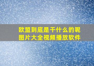 欧盟到底是干什么的呢图片大全视频播放软件