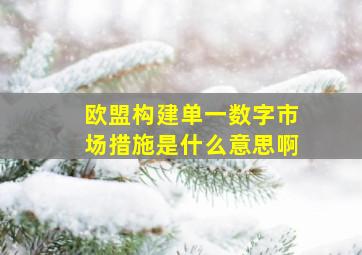 欧盟构建单一数字市场措施是什么意思啊