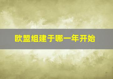 欧盟组建于哪一年开始