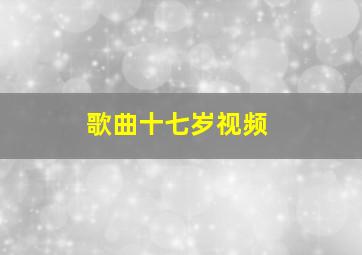 歌曲十七岁视频