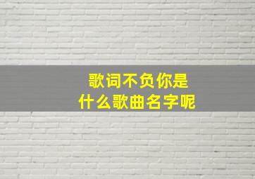 歌词不负你是什么歌曲名字呢