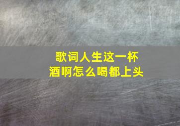 歌词人生这一杯酒啊怎么喝都上头