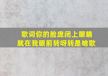 歌词你的脸庞闭上眼睛就在我眼前转呀转是啥歌