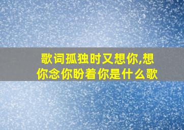 歌词孤独时又想你,想你念你盼着你是什么歌