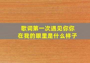 歌词第一次遇见你你在我的眼里是什么样子