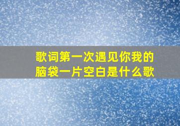 歌词第一次遇见你我的脑袋一片空白是什么歌